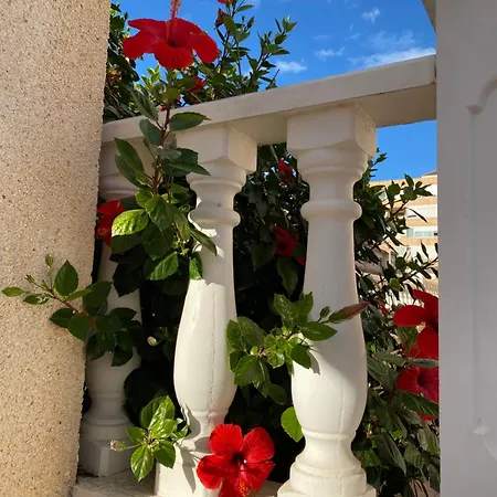 Sunny (adults Only) Apartment *